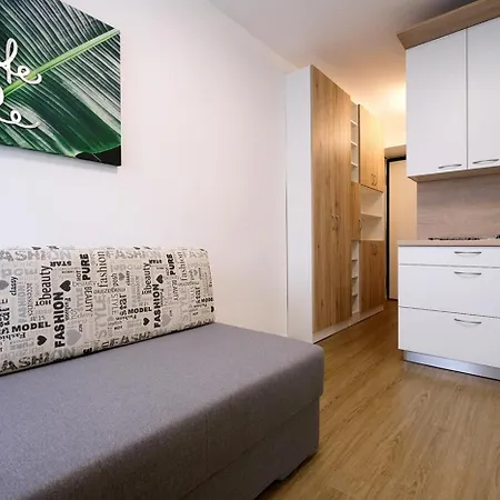 Ljubljana City Studio Apartment Joy Tour As With Free Private Parking Exterior photo