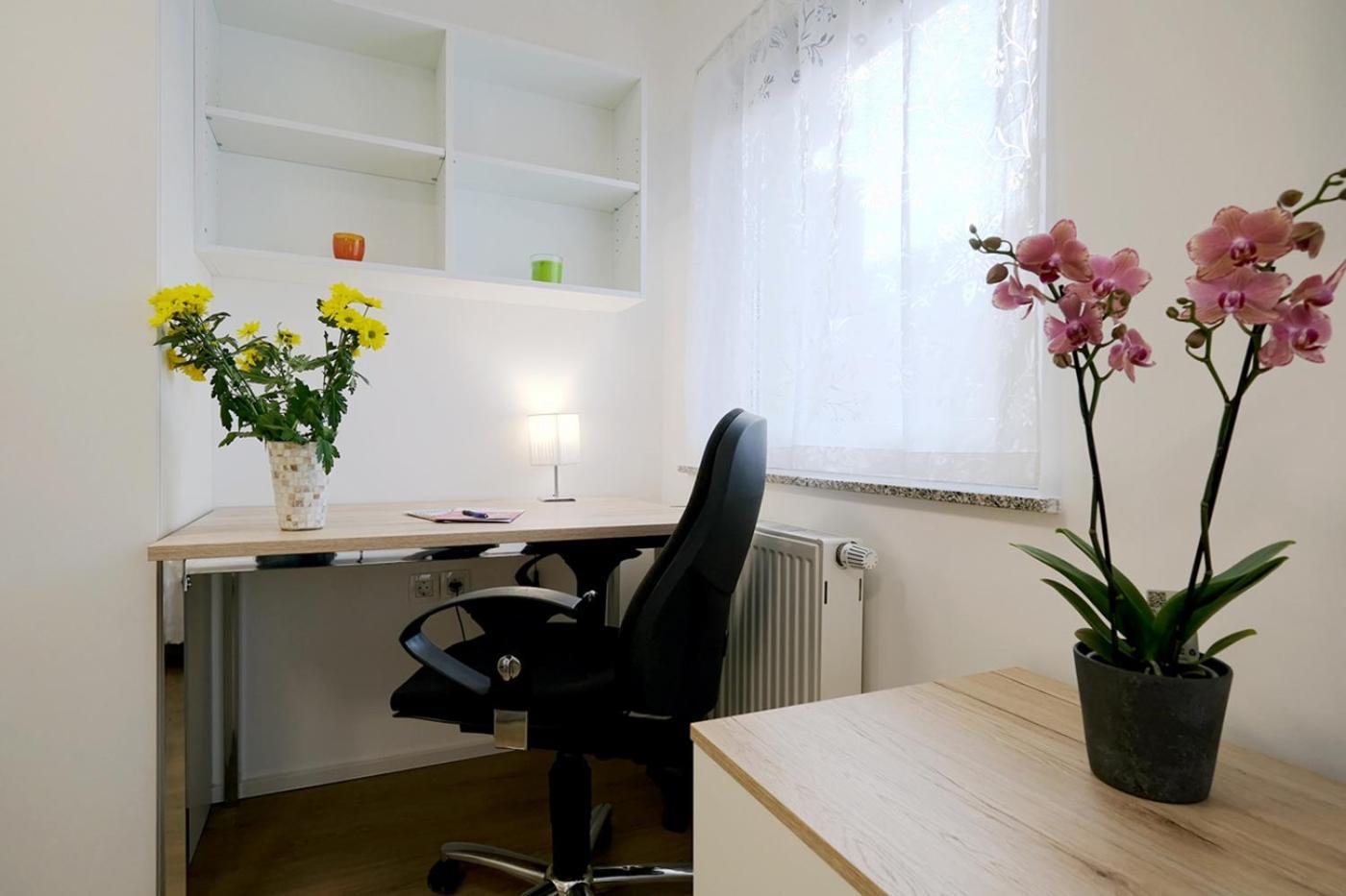 City Studio Joy Tour As With Free Private Parking